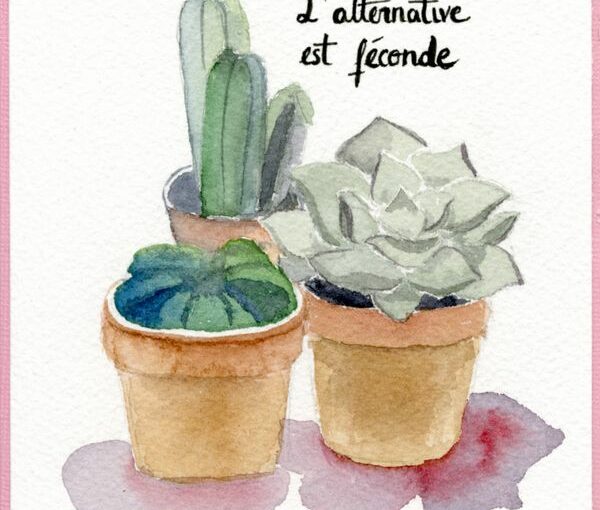 illustrations de cactus